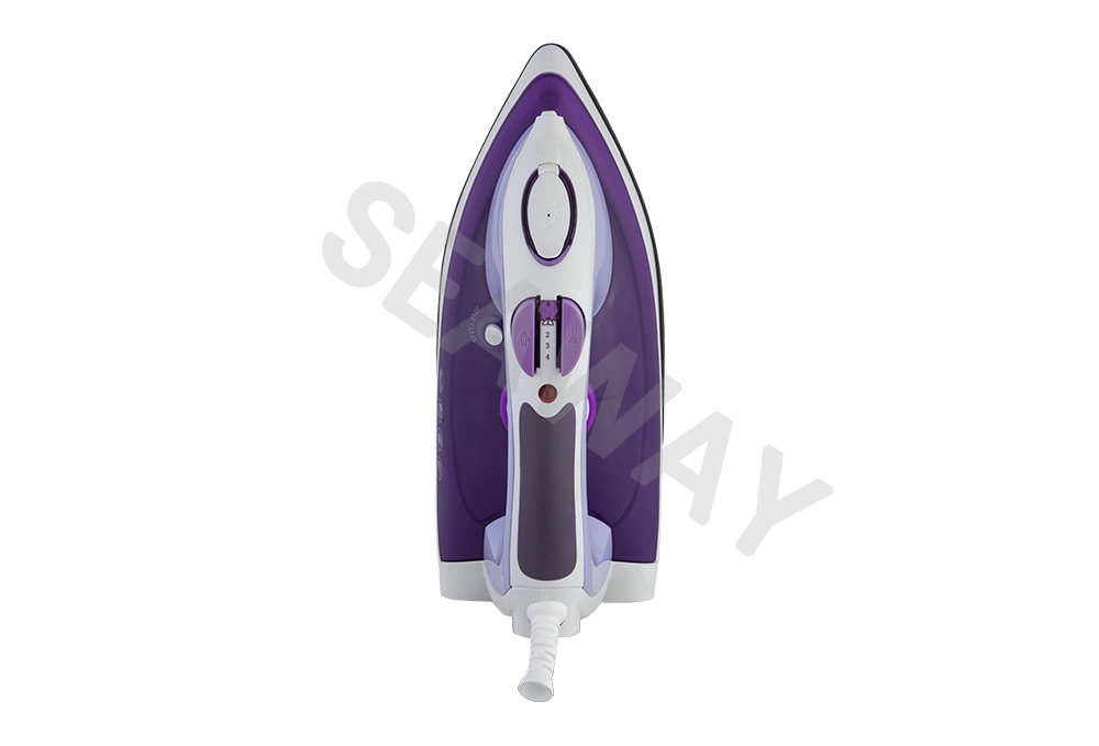 SW-2288 250ml ফুল ফাংশন স্টিম আয়রন